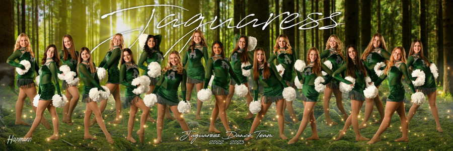 Ashwaubenon Jaguaress Dance Team